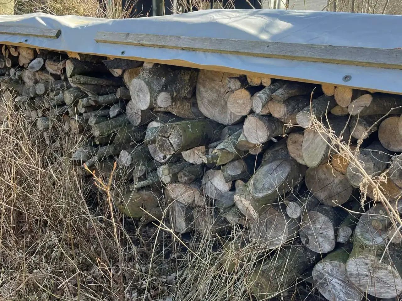 Billede 2 - Tørt 2 år ukløvet brænde
