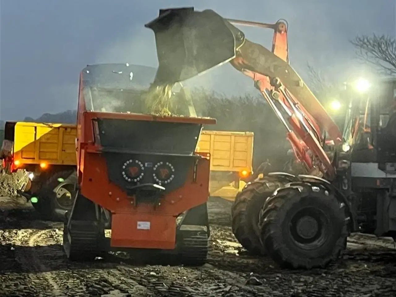 Billede 4 - - - - ARJES EVO 2