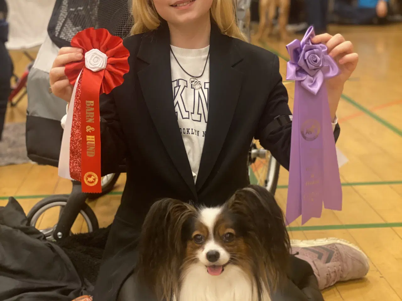 Billede 10 - Papillon hvalpe 