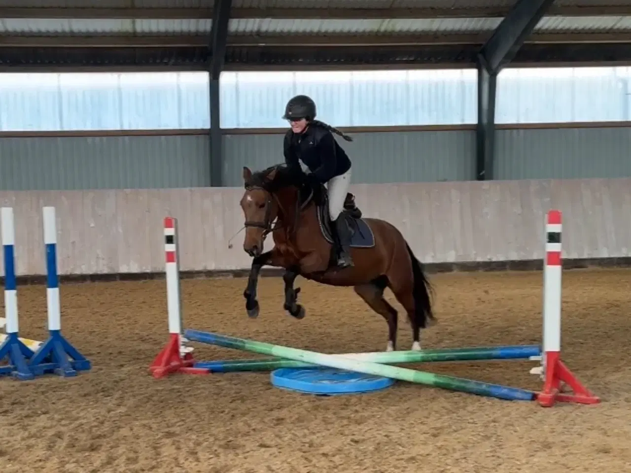 Billede 3 - Sød pony