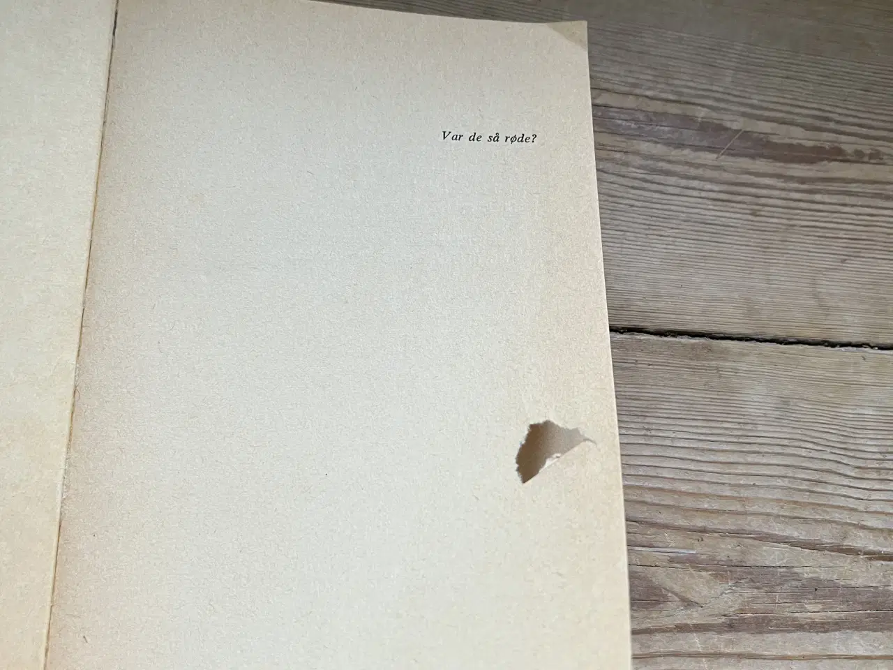 Billede 2 - Var de så røde ? Lise Togeby