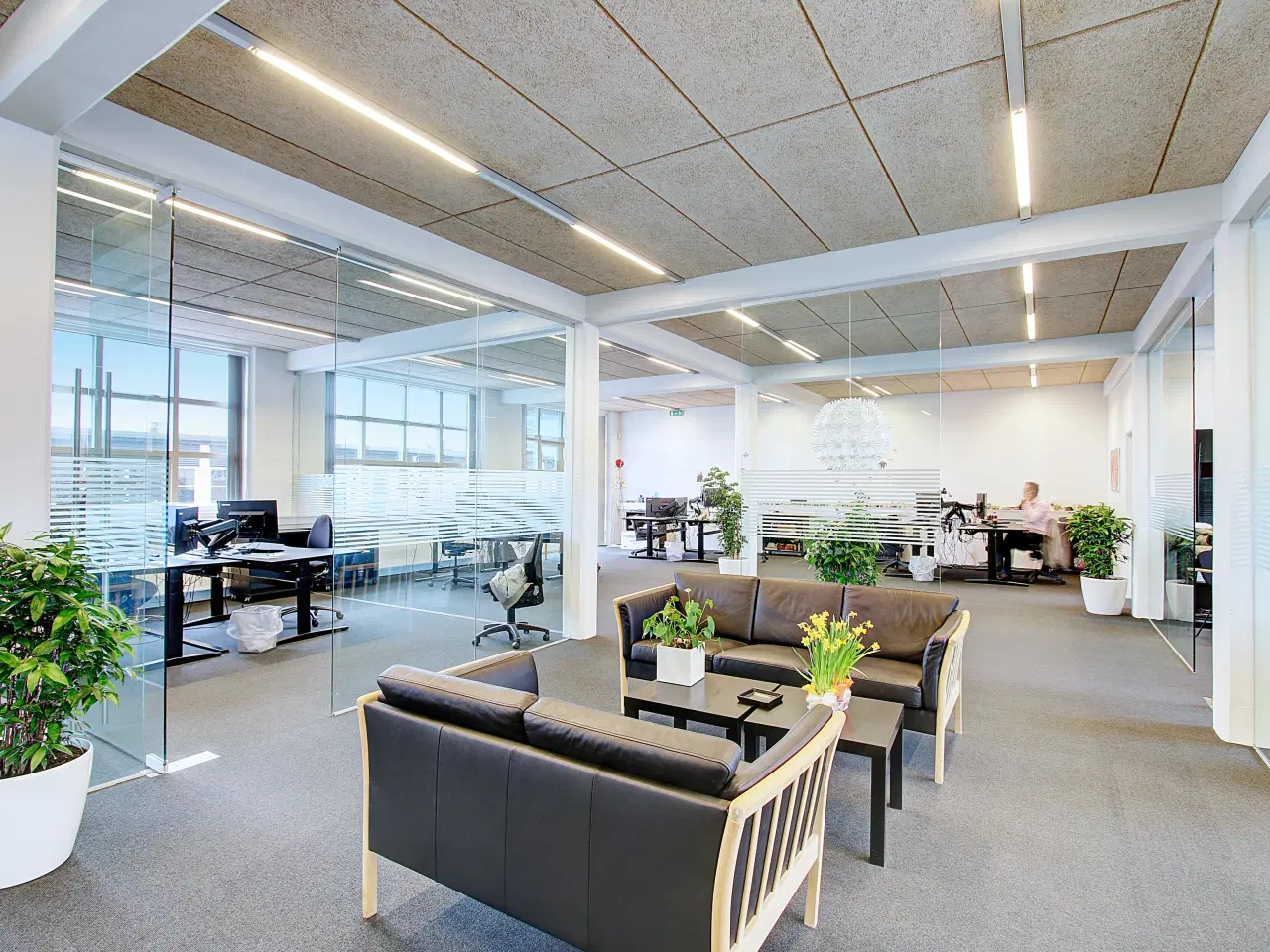 Billede 10 - Moderne kontorer/showroom/undervisningslokaler med godt lysindfald