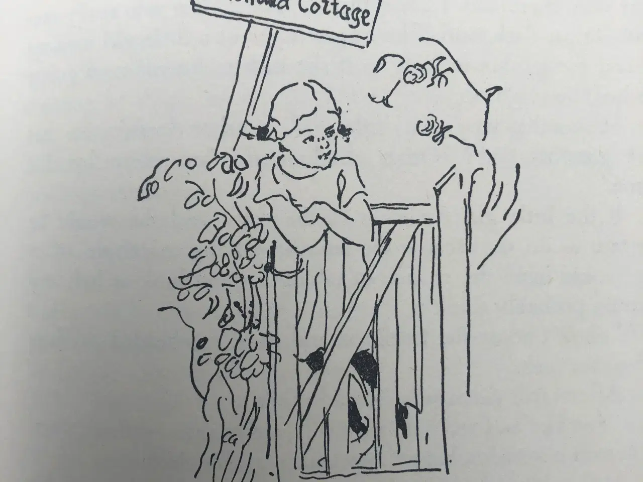 Billede 4 - Pippi