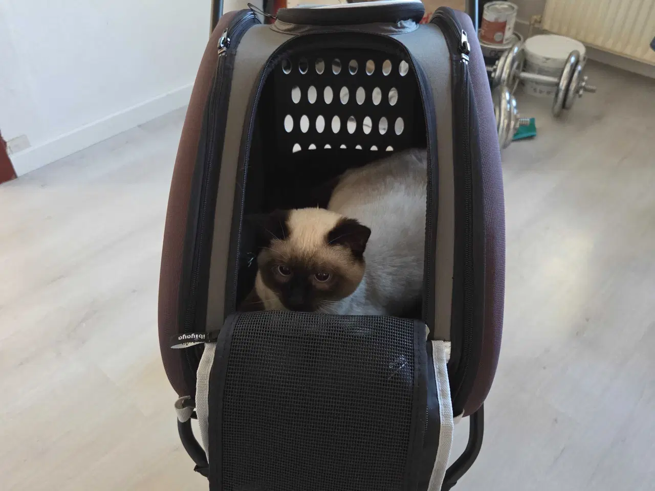 Billede 2 - Hunde/katte klapvogn 