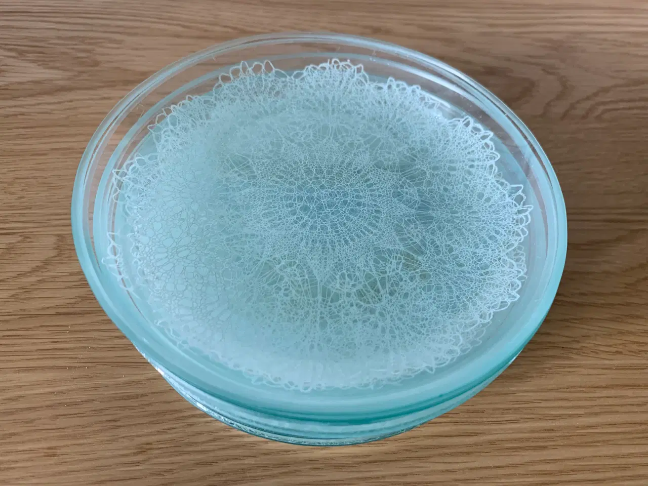 Billede 4 - Asietter i glas