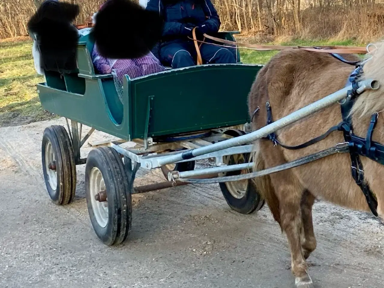 Billede 1 - Fin hestevogn - byd