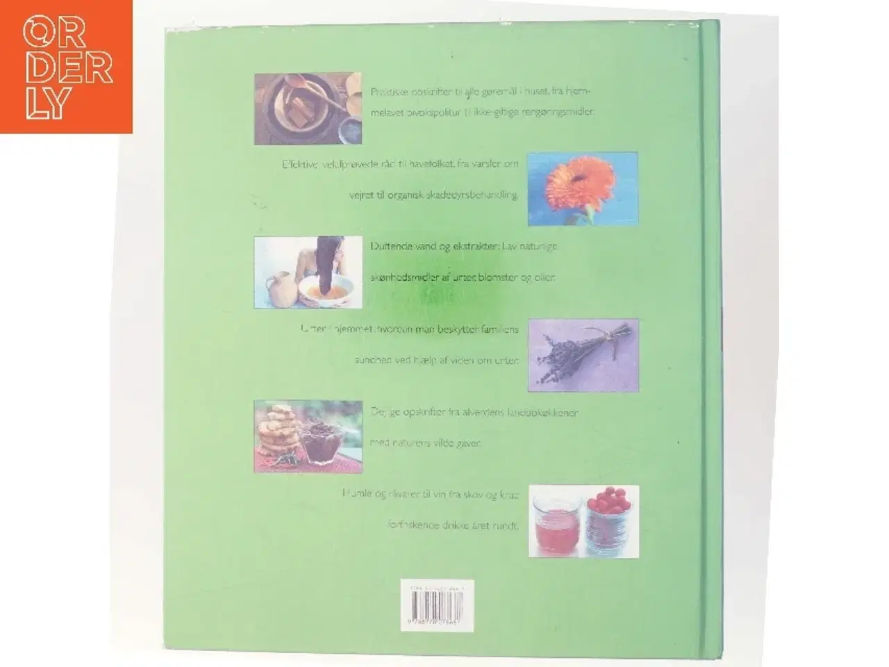 Billede 3 - Sund fornuft af Rosamond Richardson (Bog)