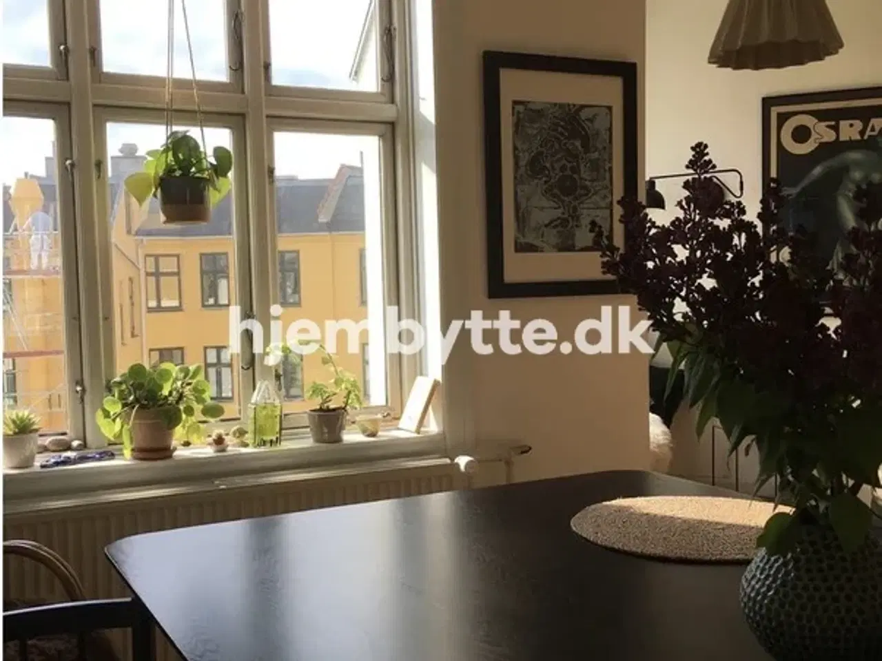 Billede 2 - Hjembytte - Burmeistersgade