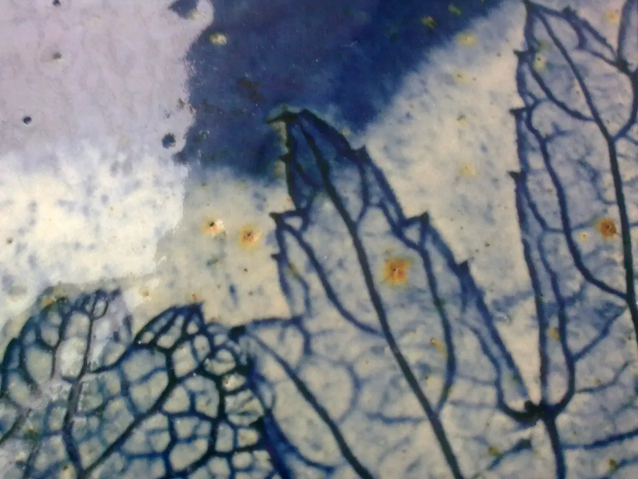 Billede 9 - Sweden Keramik historie med Paula von Freymann