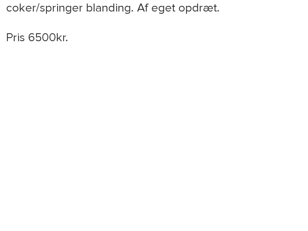 Billede 3 - Springer/coker hvalp