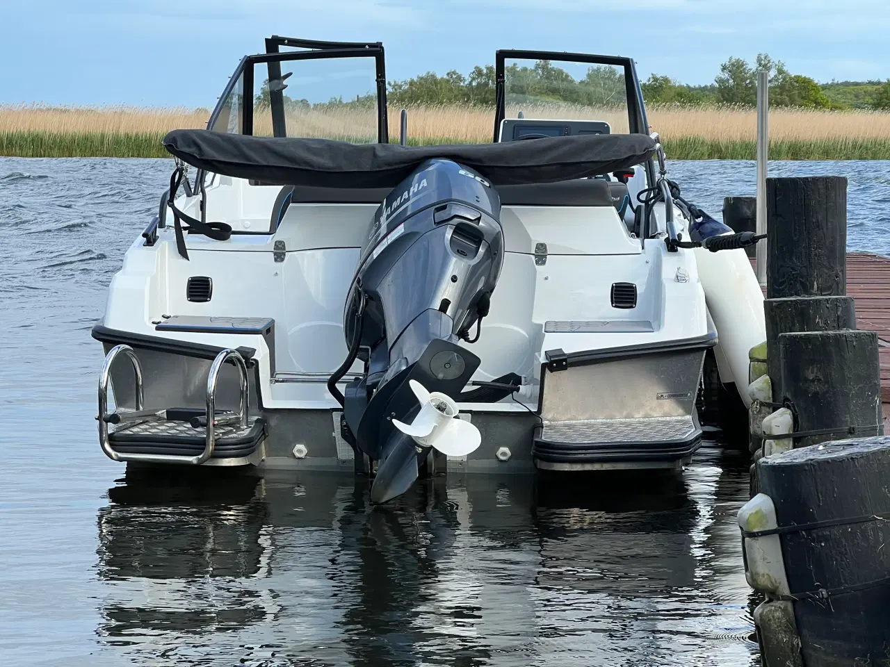 Billede 1 - Yamaha F60 FLTP 4-takt påhængsmotor 
