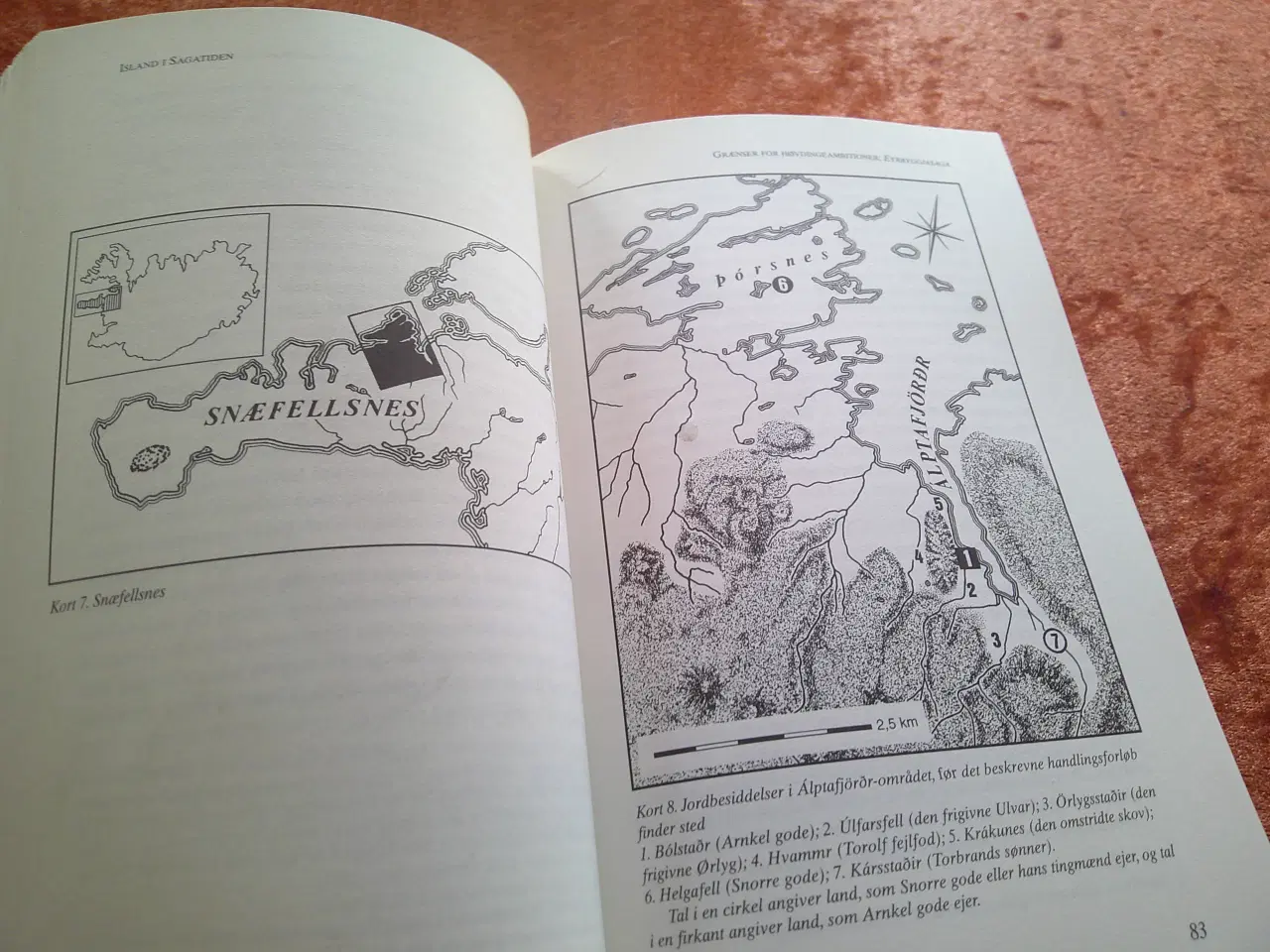 Billede 2 - Island i sagatiden, Jesse L. Byock