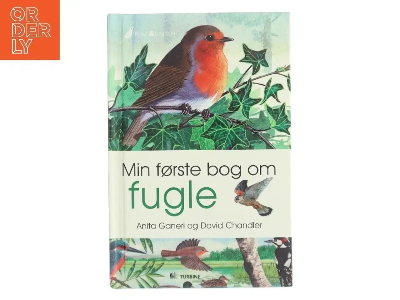 Billede 1 - Min første bog om fugle af Anita Ganeri (Bog)