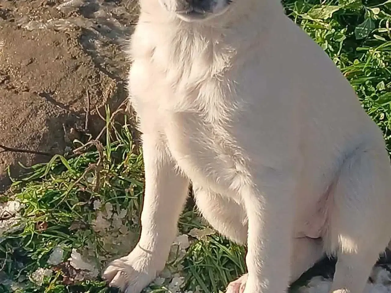 Billede 6 - Skønneste Muriel søger sin egen familie