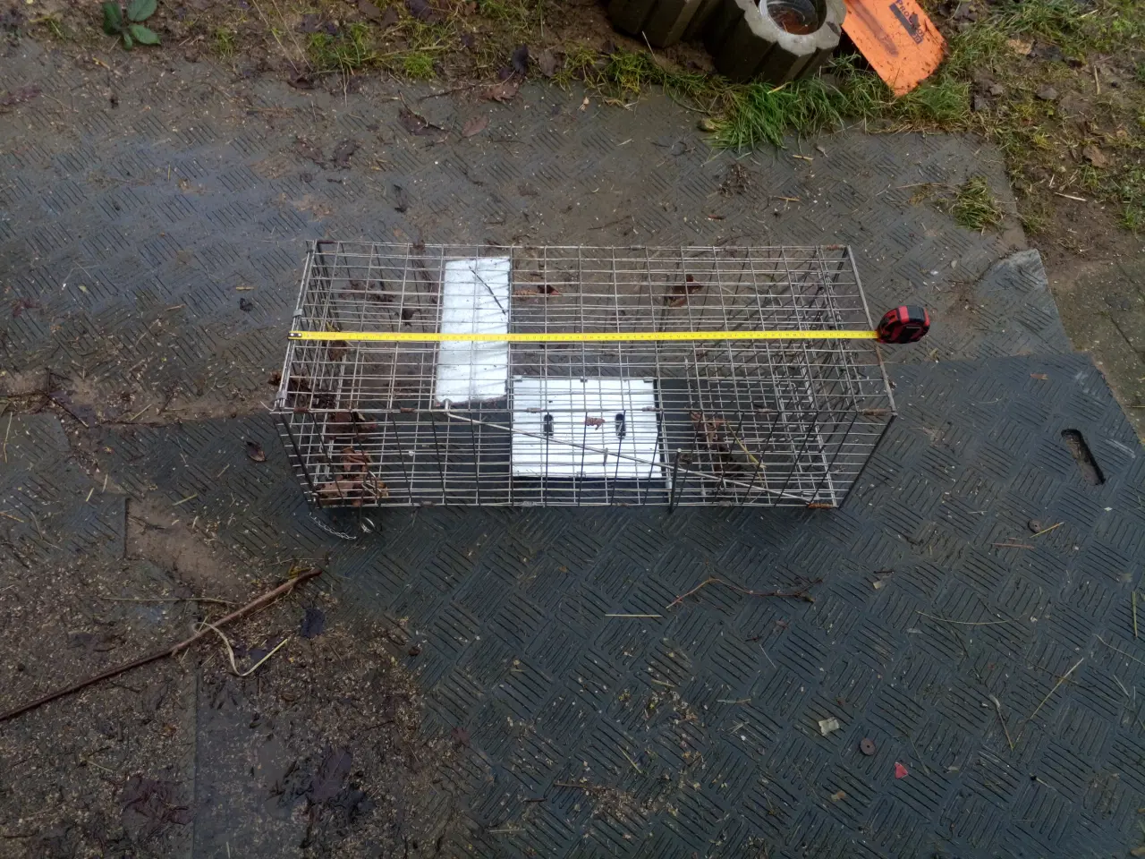 Billede 1 - Mårfælde