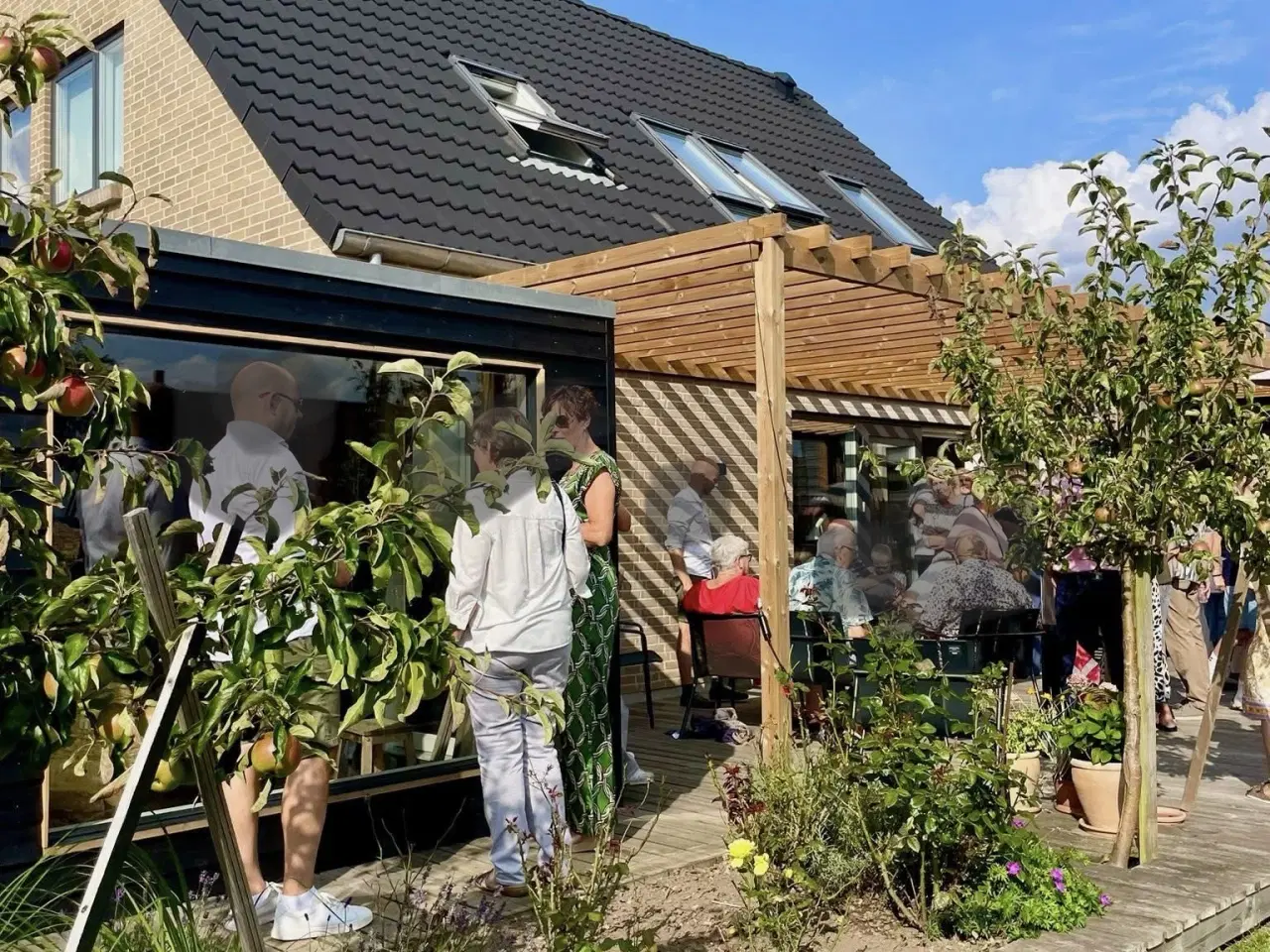 Billede 1 - Pergola i termowood med tag