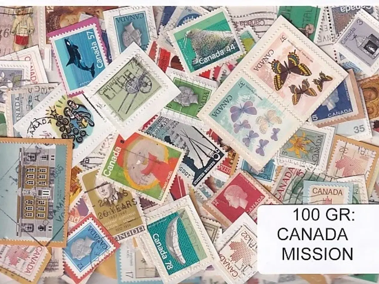 Billede 1 - Canada 100 g. Mission - Tæt Klip + Lidt afvaskede - Hjemkommet 1 - 3 - 22