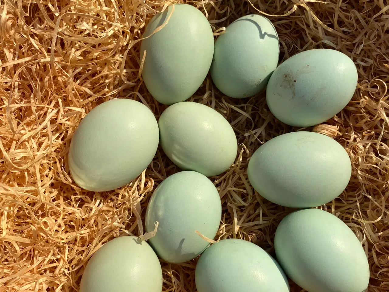 Billede 1 - Cream Lagbar rugeæg.
