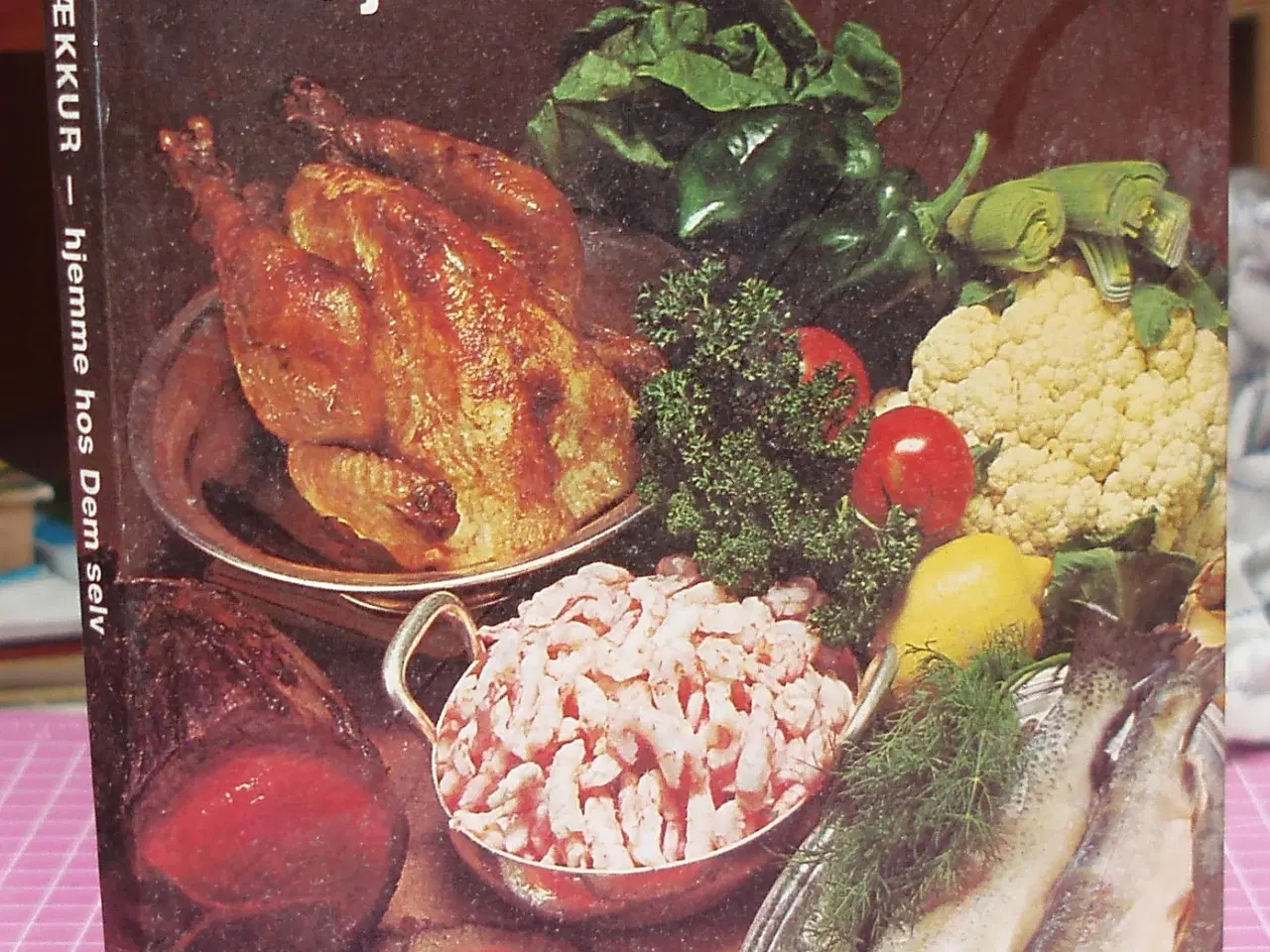 Billede 1 - Jacobsens Hornbækkur -hjemme hos dem selv