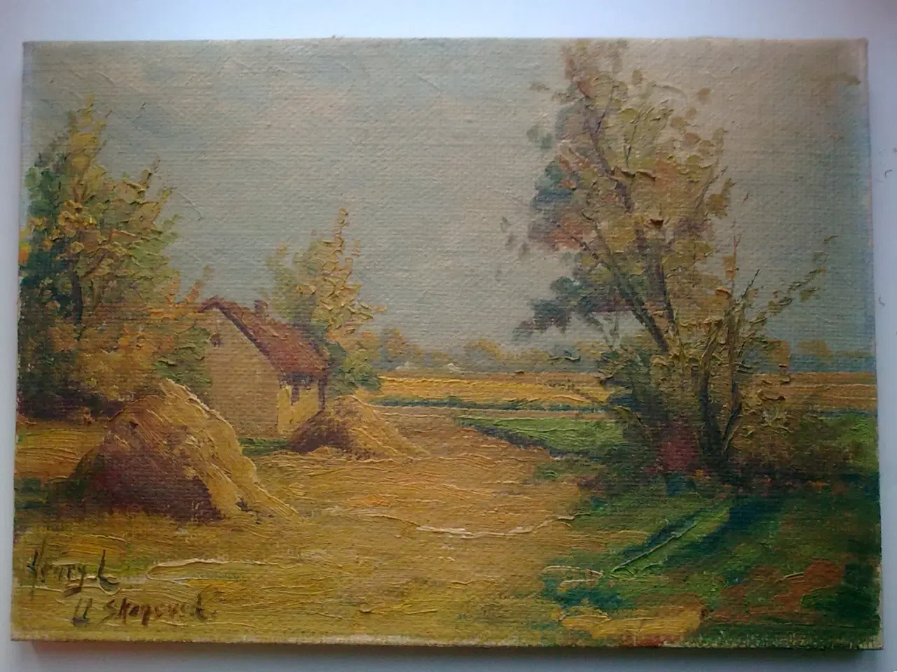 Billede 2 - Hyacint Holmegaard el. dansk høst kornmark 