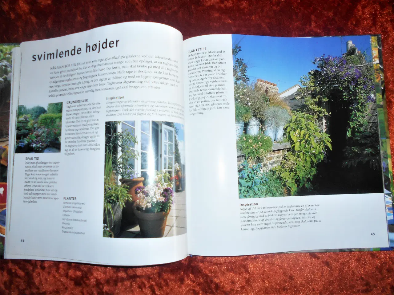 Billede 2 - Nye ideer til haven,  Elizabeth Keevill