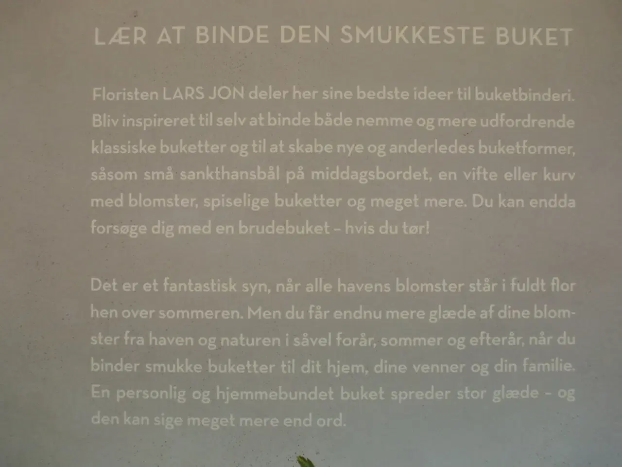 Billede 4 - buket, af lars jon, emne: hobby og sport