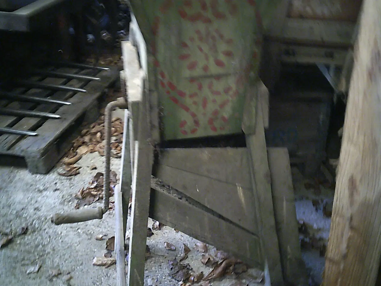 Billede 2 - Roe rasper