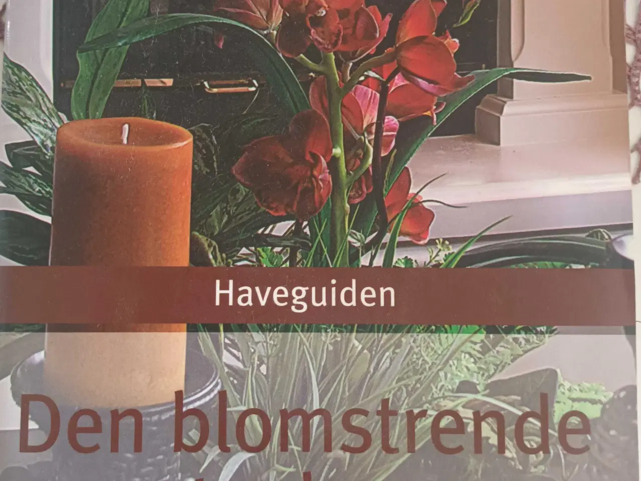Billede 1 - Haveguiden - Den blomstrende stuehave