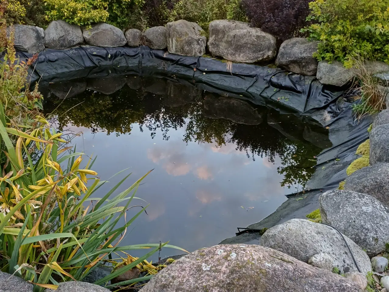 Billede 6 - Oase Bio smart 36000 L. bassin filter sæt