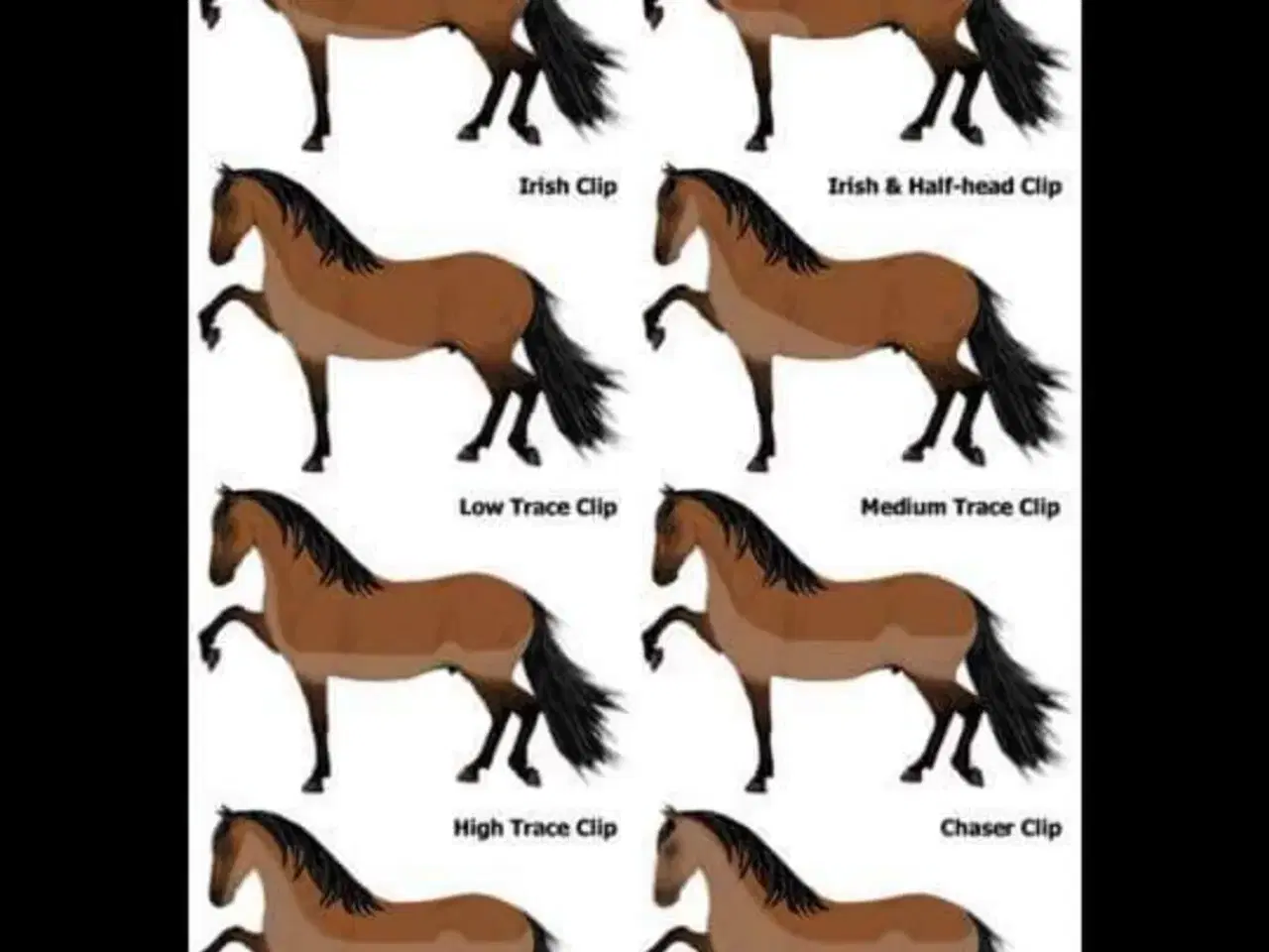 Billede 1 - Klipning af heste og ponyer 