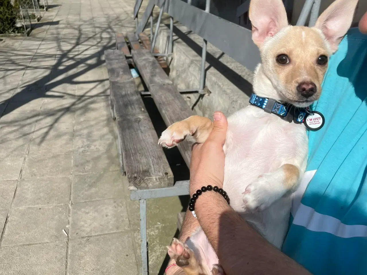 Billede 3 - Lille Mille 🩷