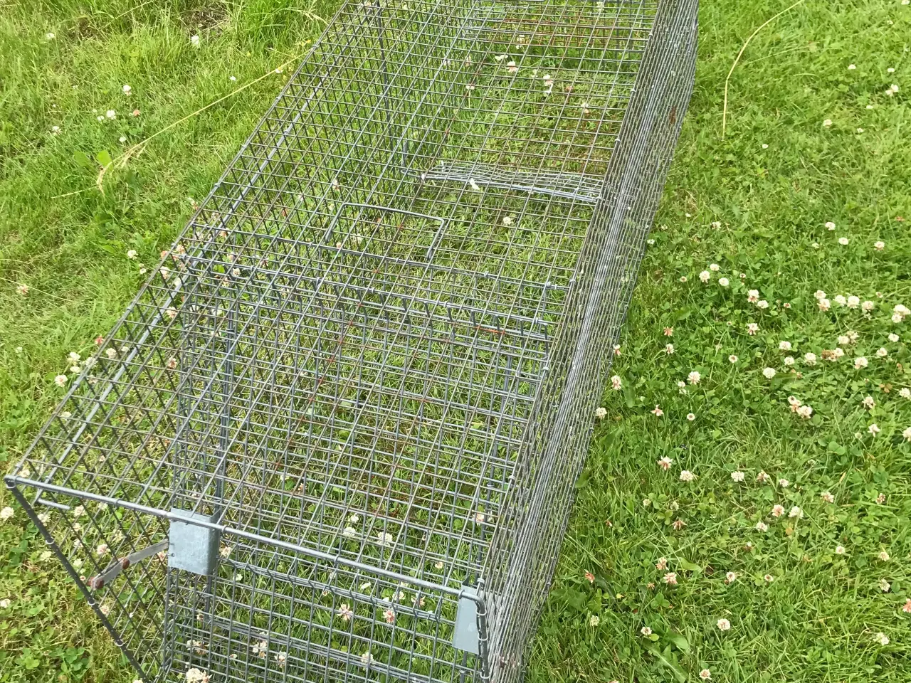 Billede 1 - Rævefælde