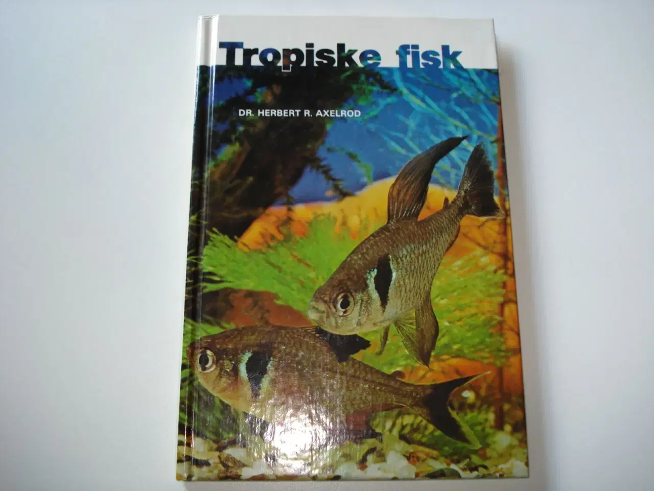 Billede 1 - Tropiske fisk