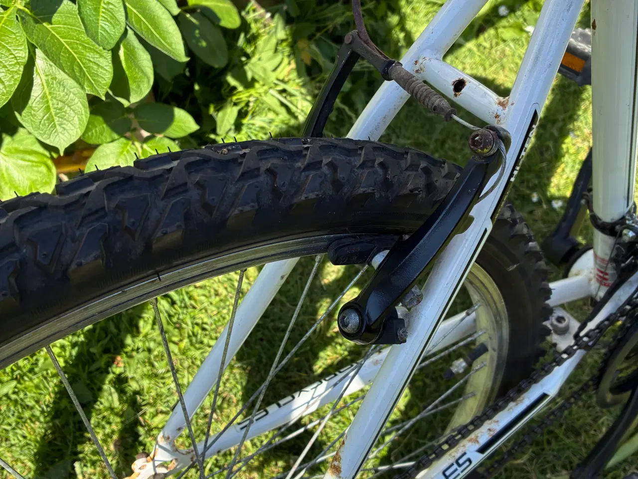 Billede 9 - Loop Mountainbike 26”