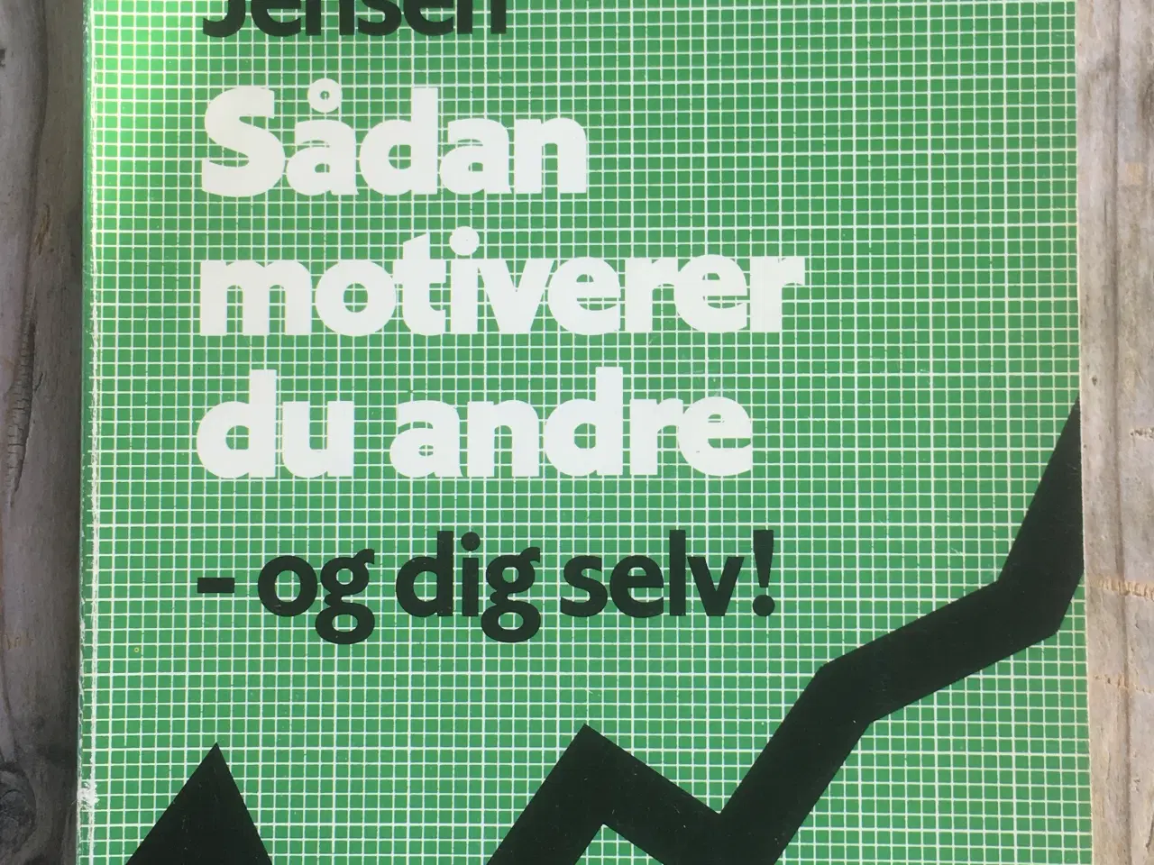 Billede 1 - Sådan motiverer du andre, og dig selv, Harry Motor