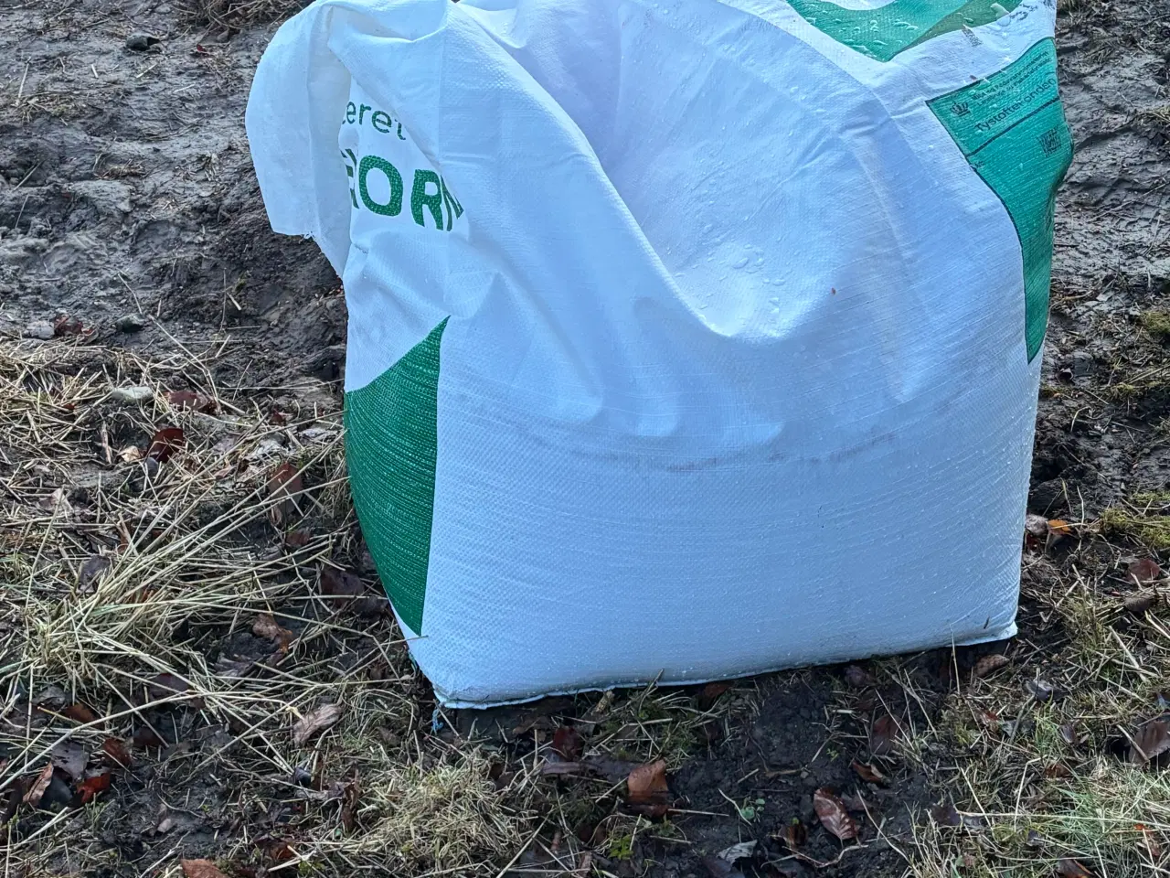 Billede 2 - Vårbyg udsæd