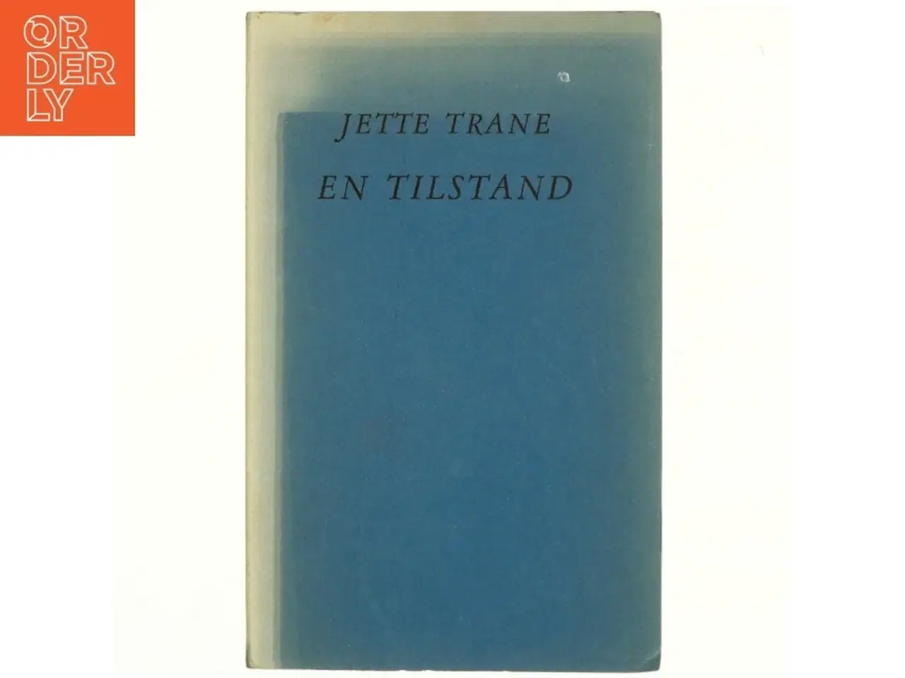 Billede 1 - En tilstand af Jette Trane