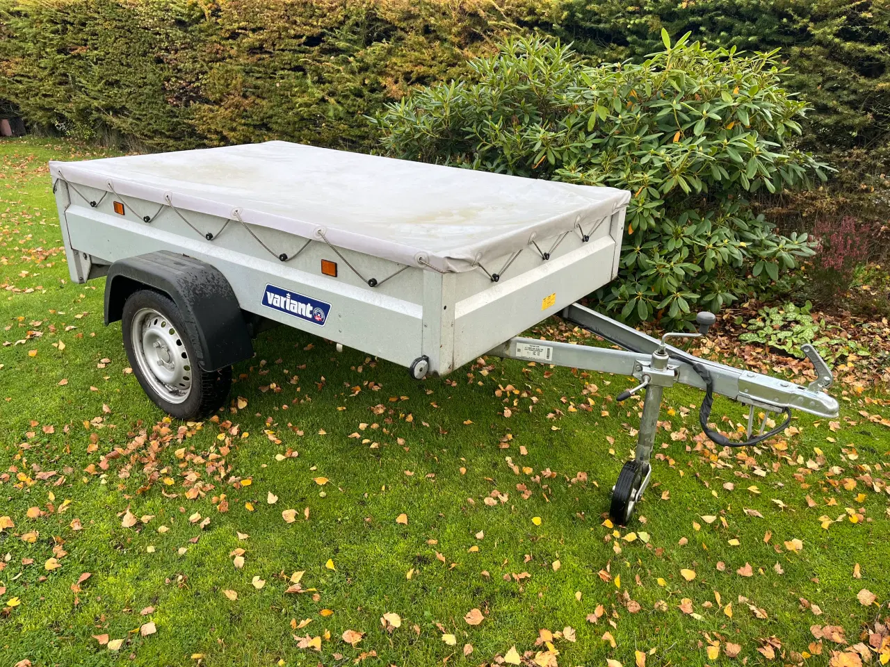 Billede 2 - Variant trailer.