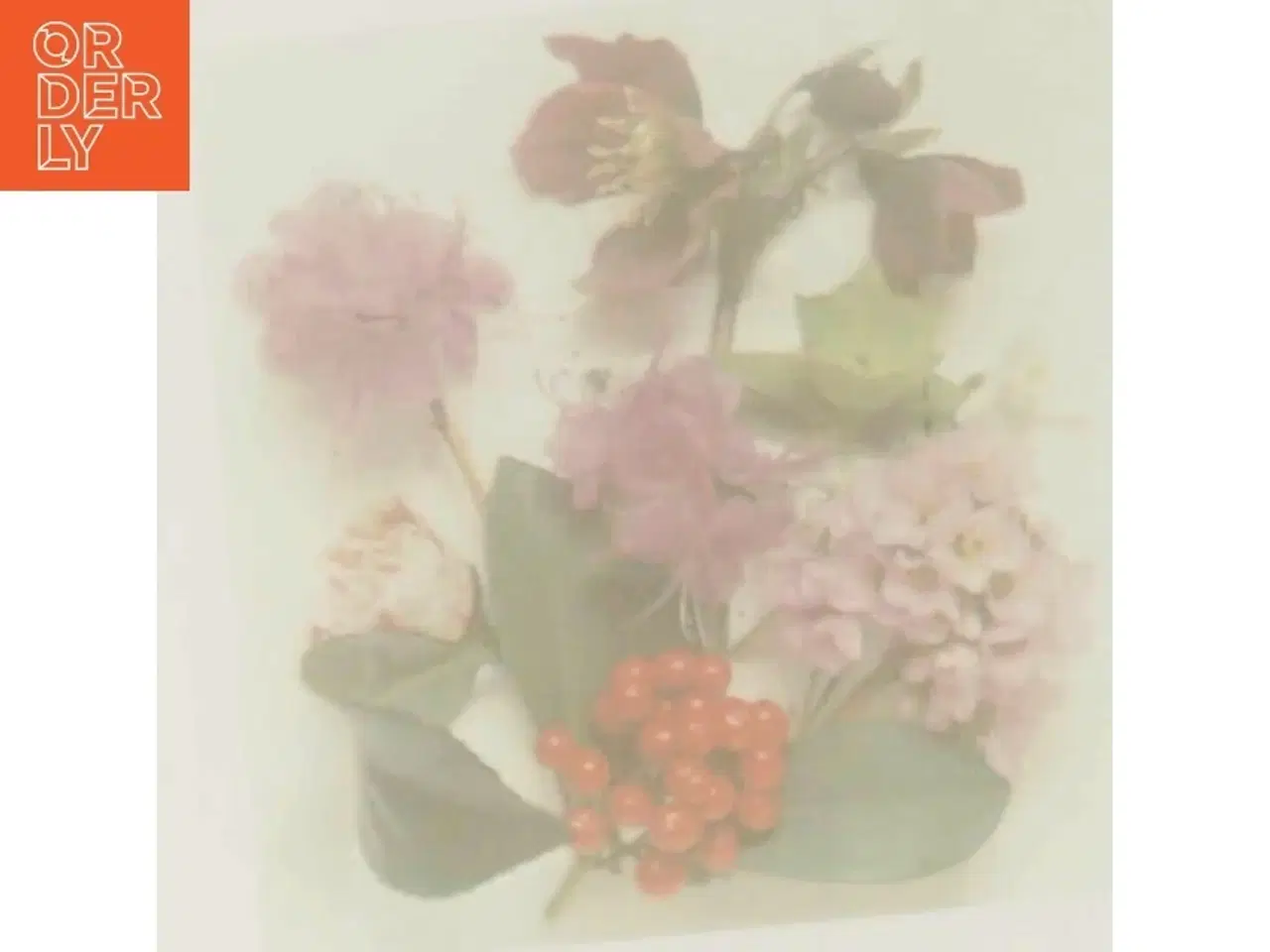 Billede 3 - Plants for Shade af Roger Phillips (Bog)