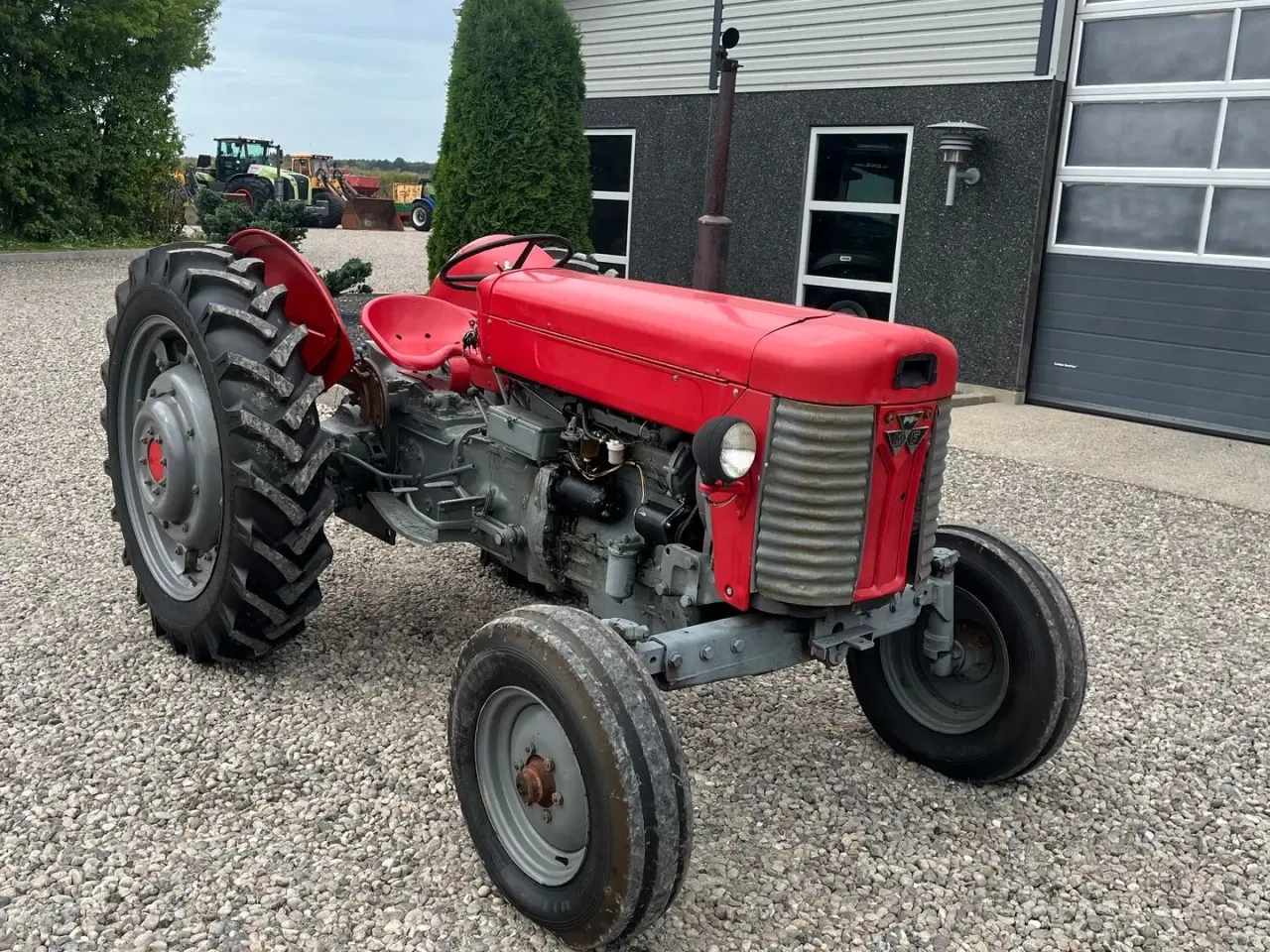 Billede 15 - Massey Ferguson 65 Med nye dæk