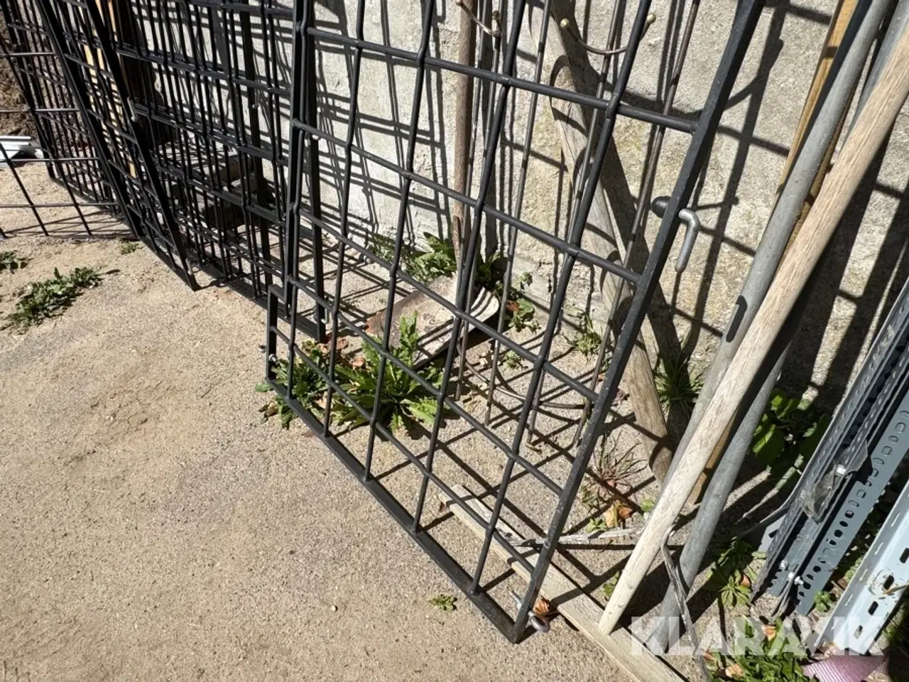 Billede 6 - Hegn