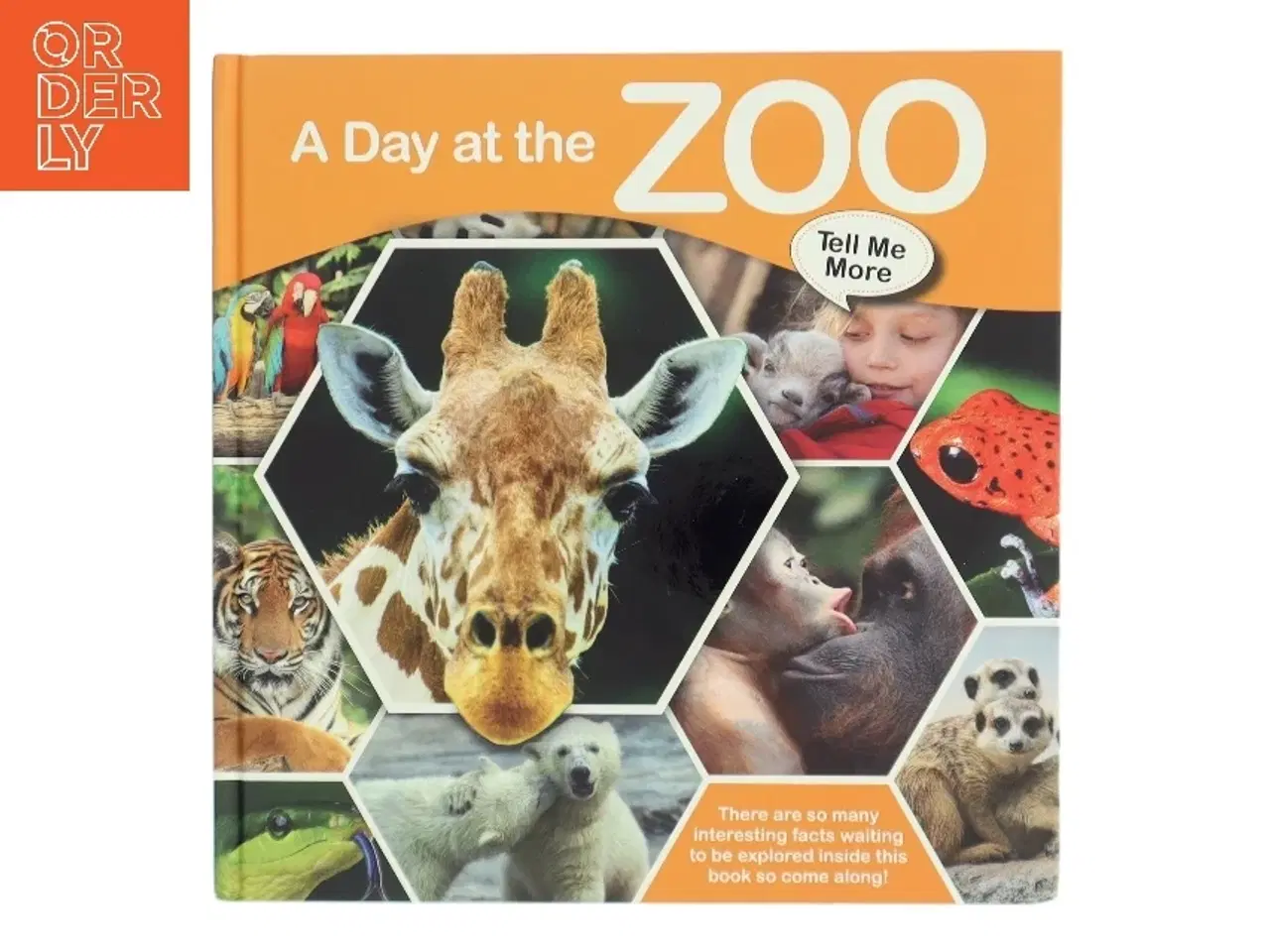 Billede 1 - Børnebog om dyrene i zoo fra GLOBE