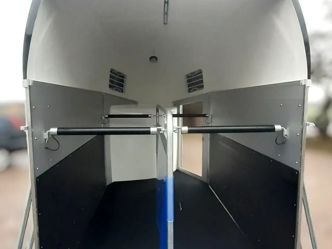 Billede 5 - Böckmann Champion Esprit (Udstilling)