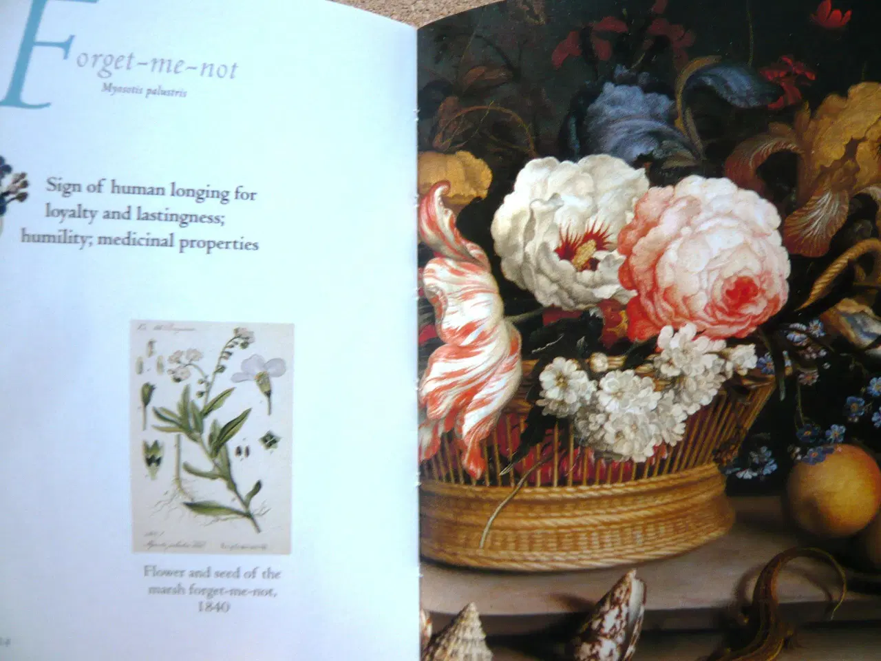 Billede 2 - 3 søde engelske bøger om blomstrer (V140)