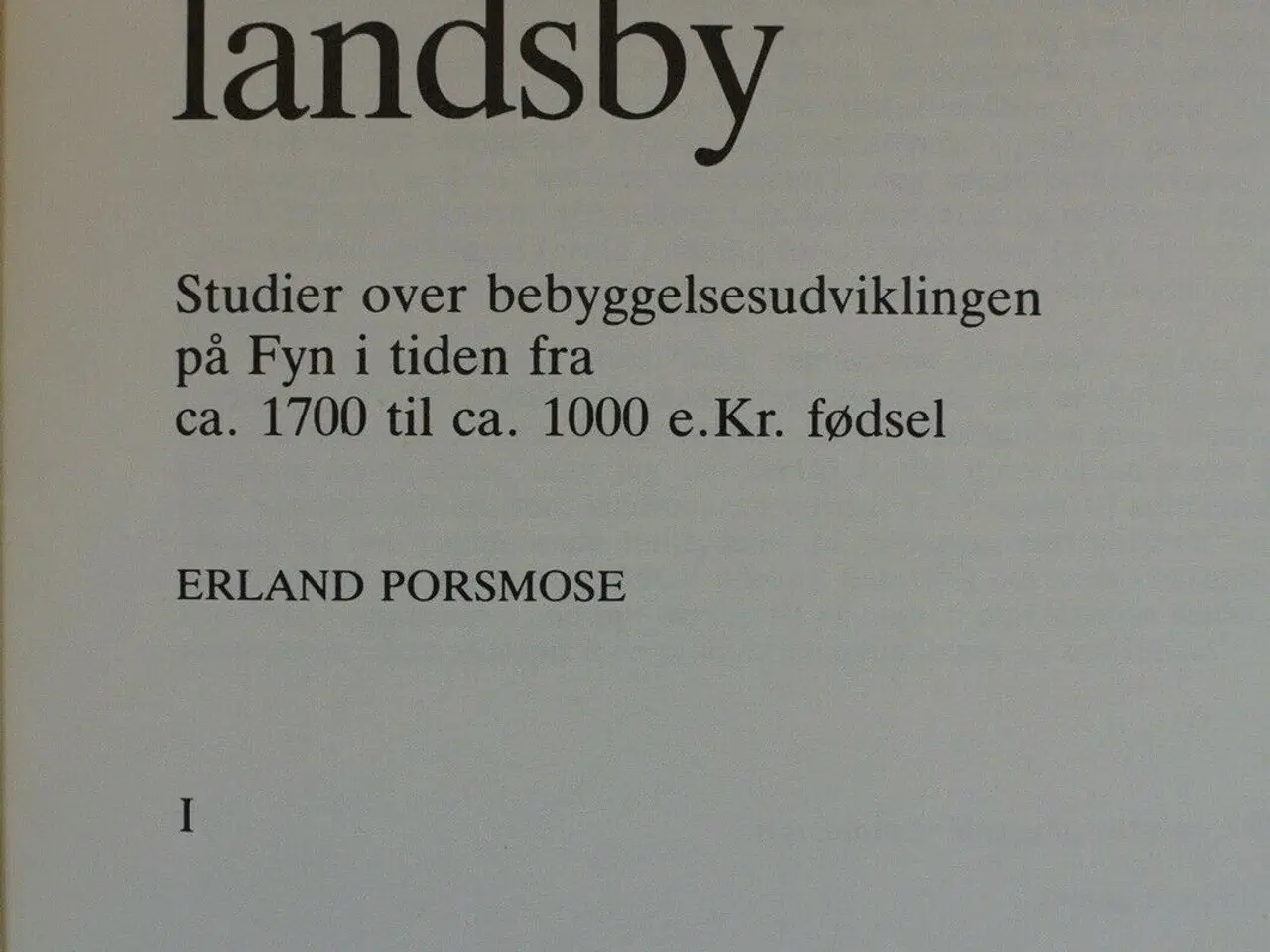 Billede 2 - den regulerede landsby 1-2, af erland porsmose