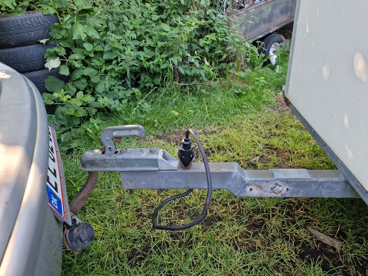 Billede 9 - Hundetrailer Isoleret 