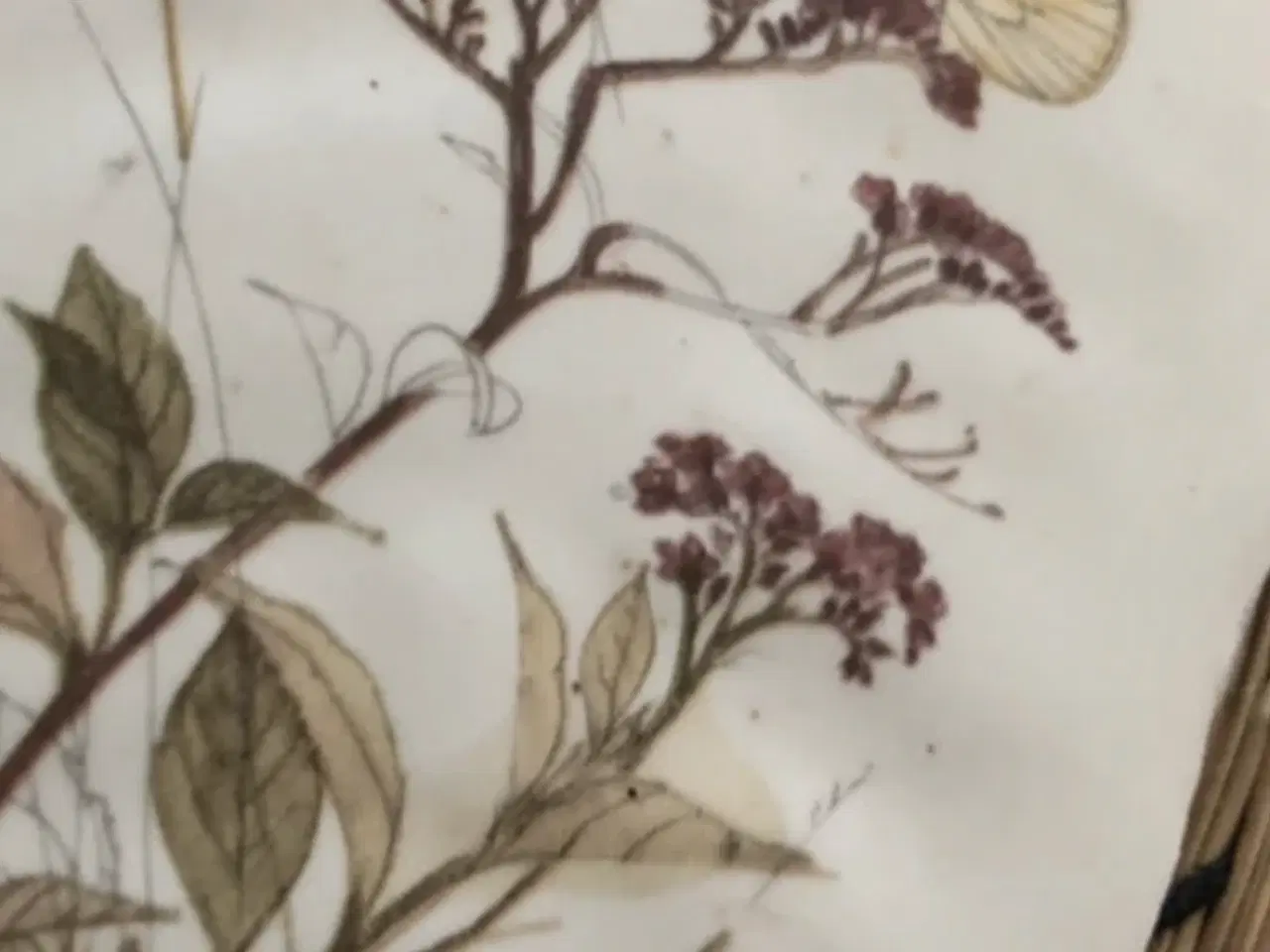 Billede 4 - Mads stage Kakler,fliser .Middelfart 