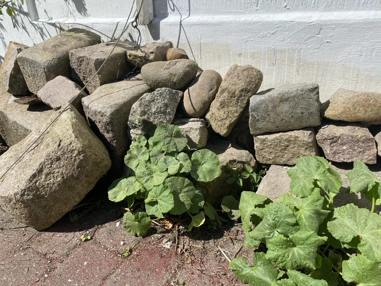 Billede 3 - Granit - brosten og større kantsten