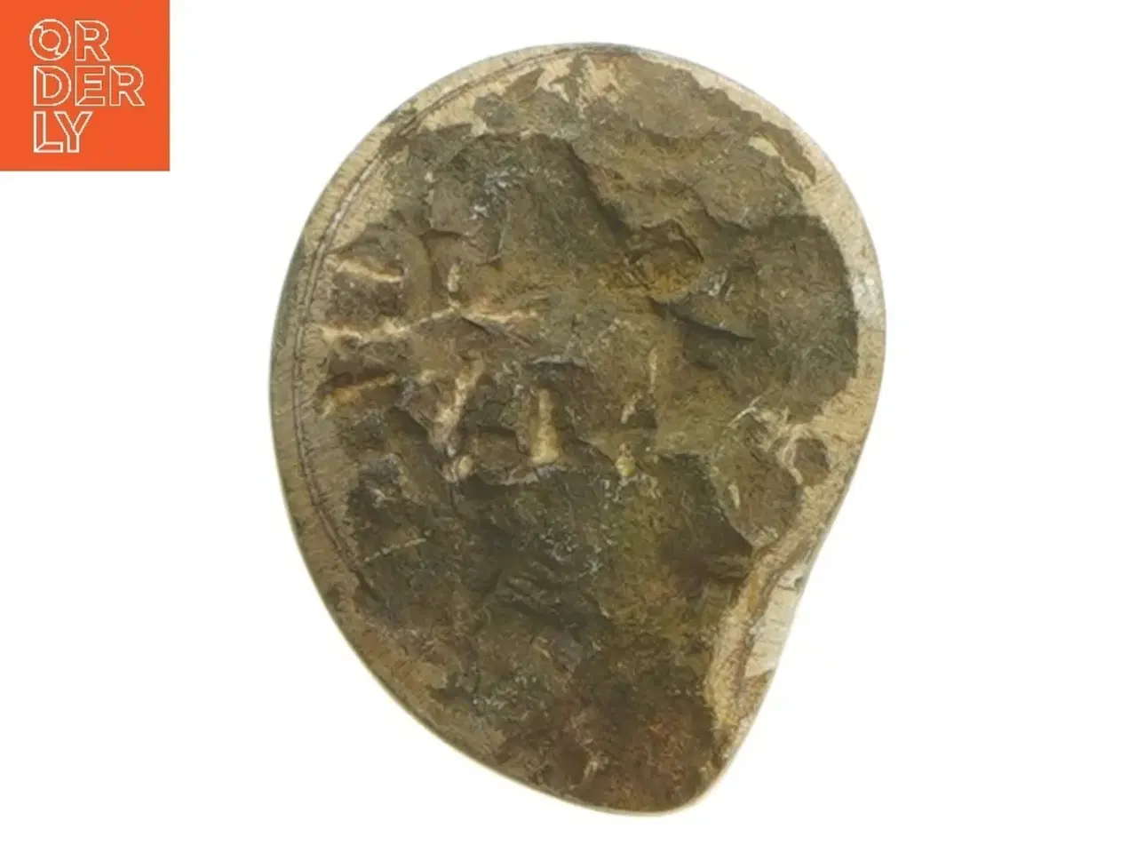Billede 3 - Poleret ammonit fossil (str. 7,5 cm)