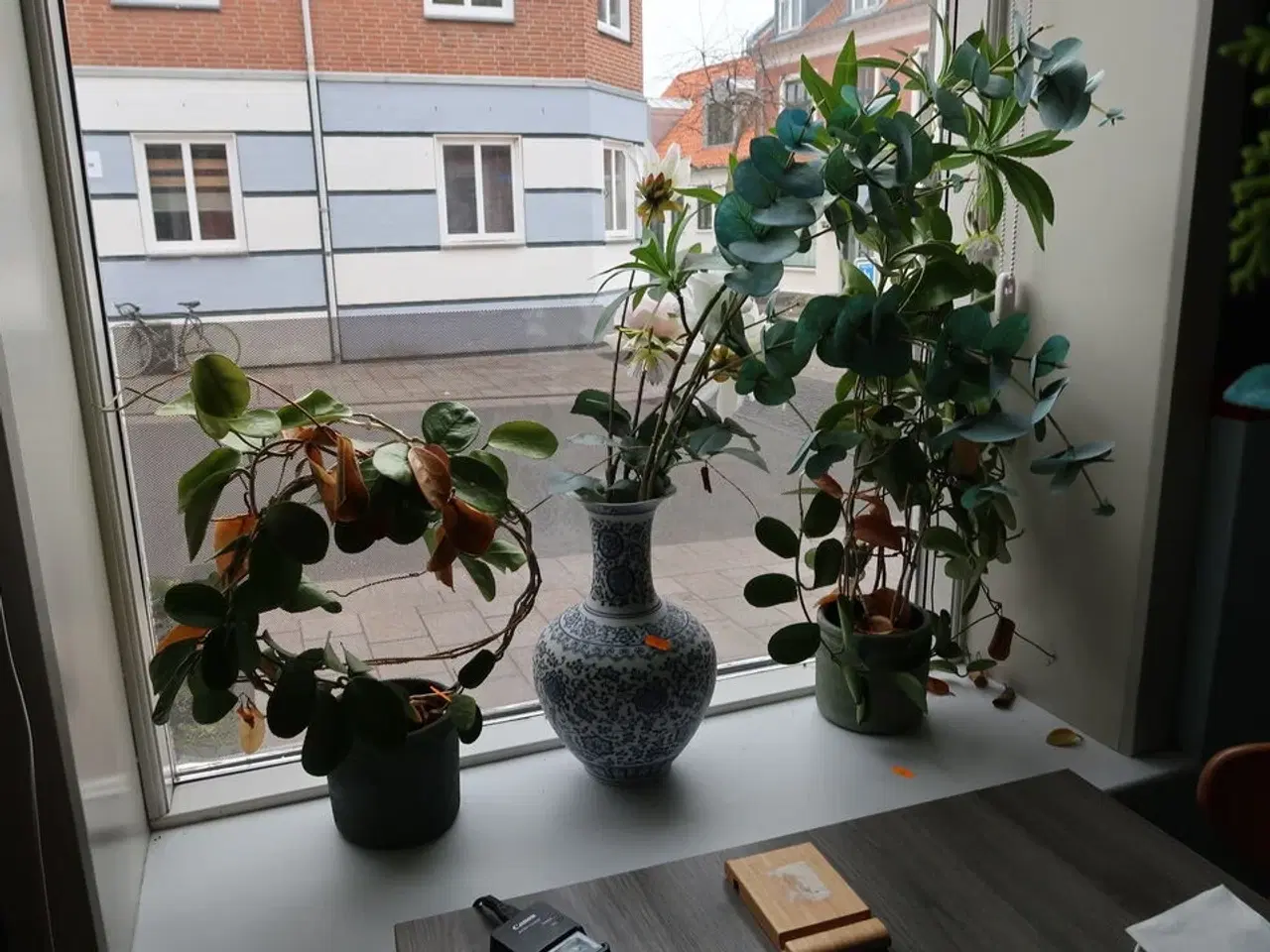 Billede 2 - Div. Vaser og planter